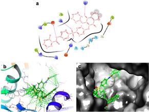 Figure 6