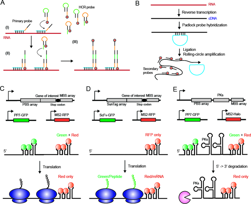 Figure 3: