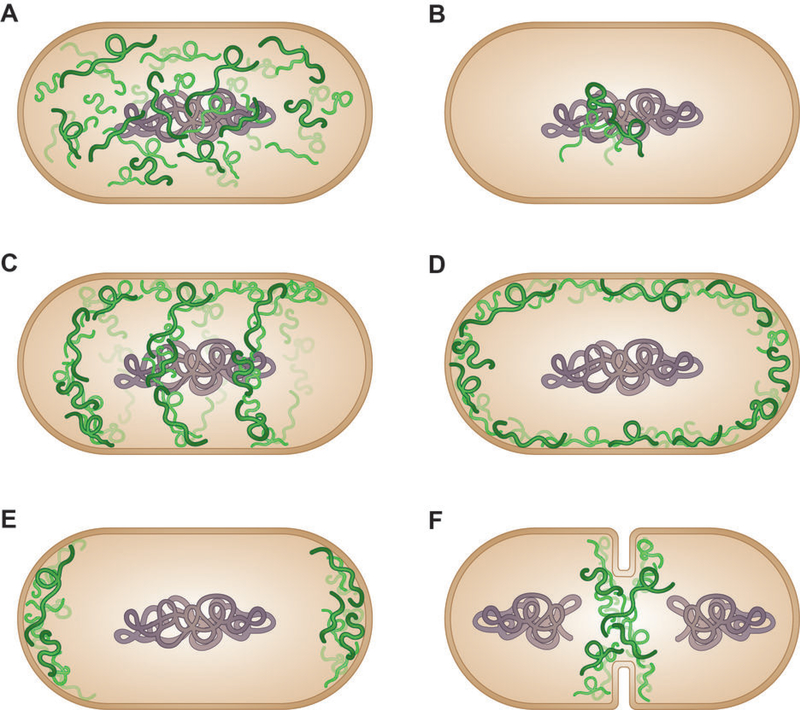 Figure 2: