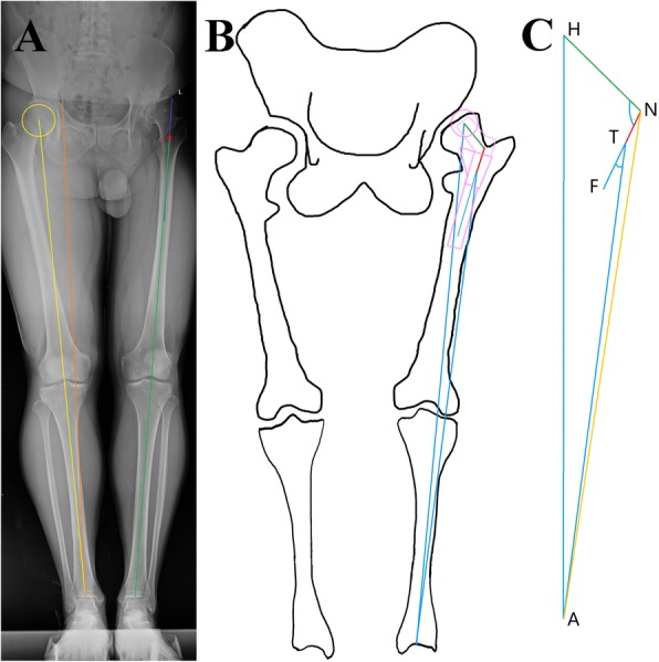Fig. 2
