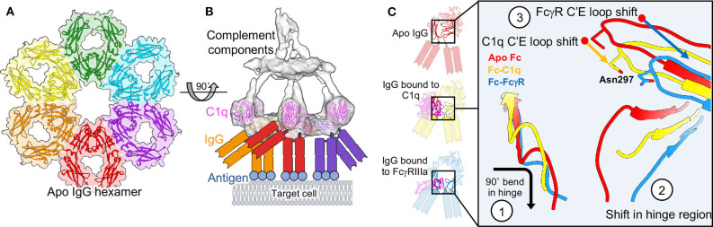 Figure 9