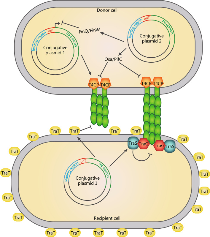 Fig. 2