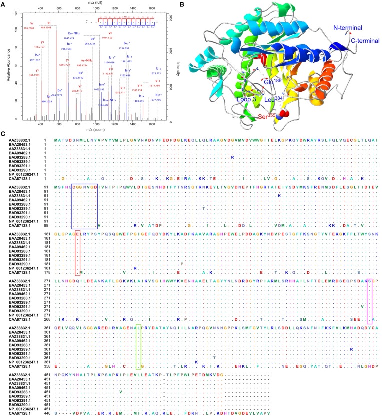 Figure 6