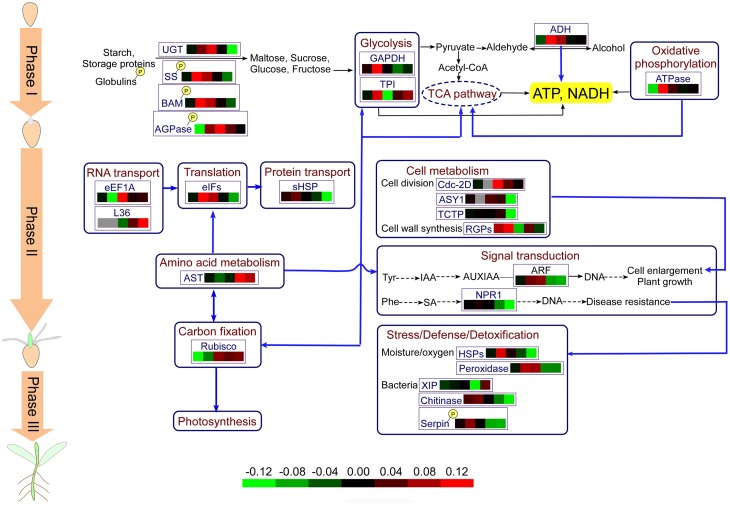 Figure 7