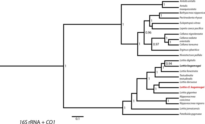 Figure 2