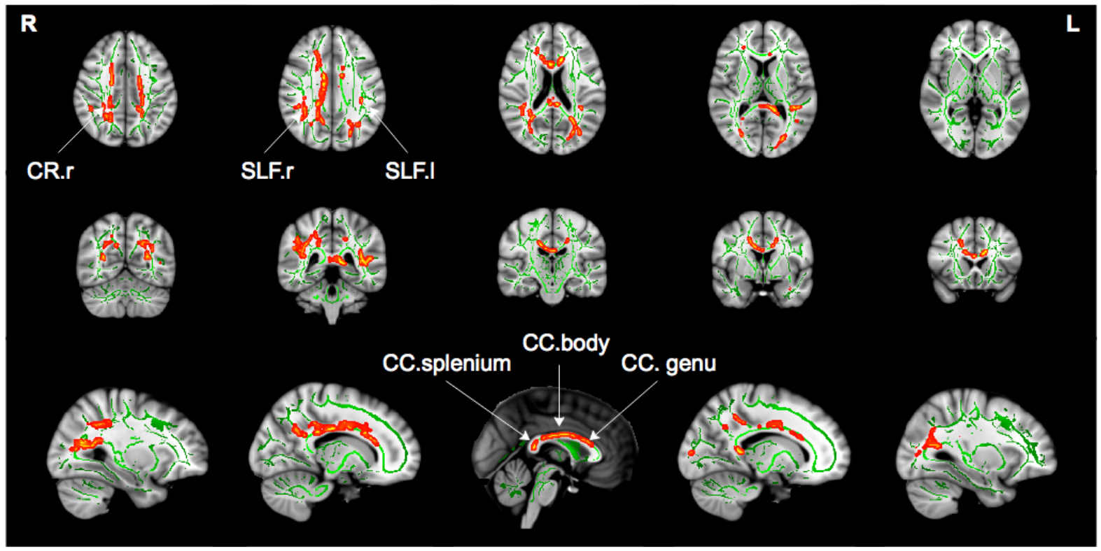 Figure 3: