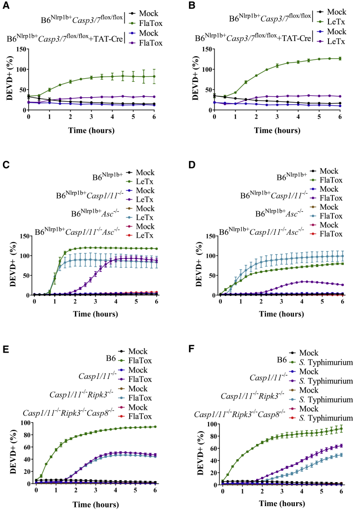 Figure 2