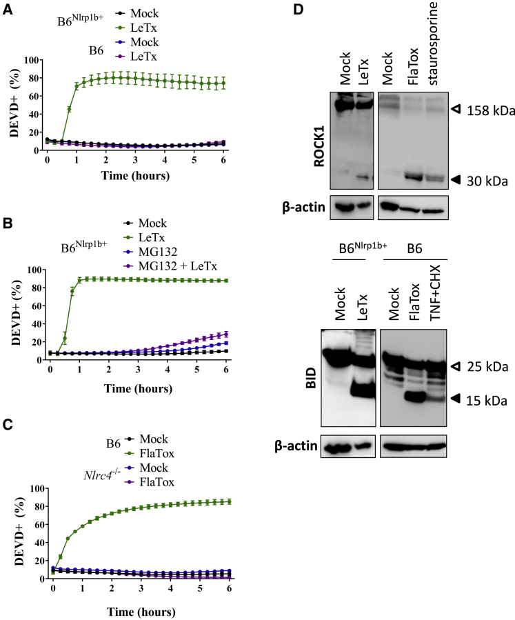 Figure 1