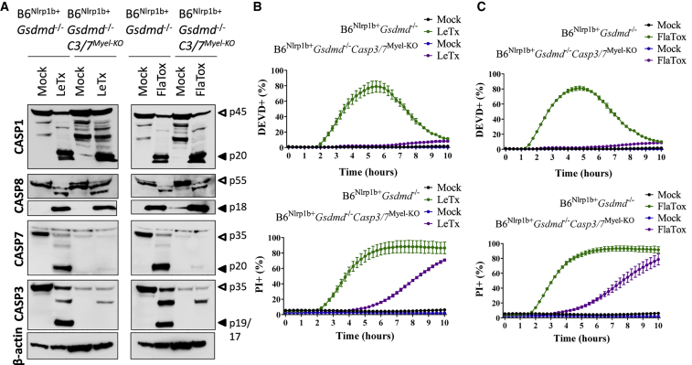 Figure 6