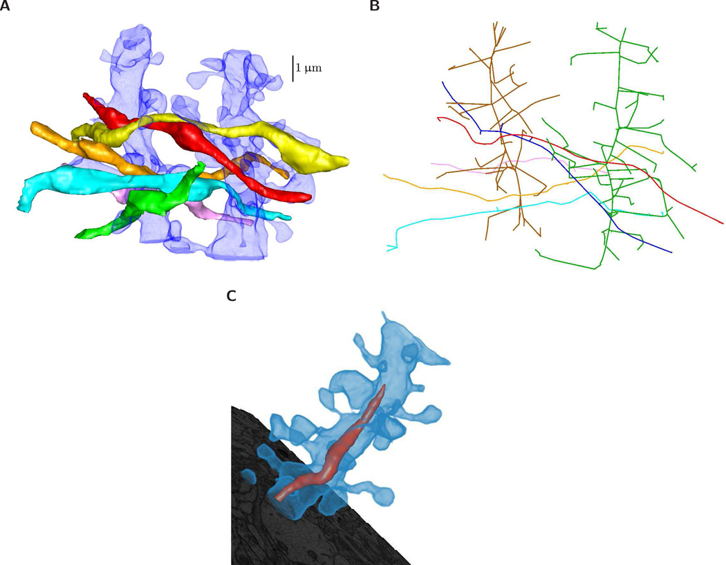 Figure 10