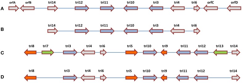 Figure 5