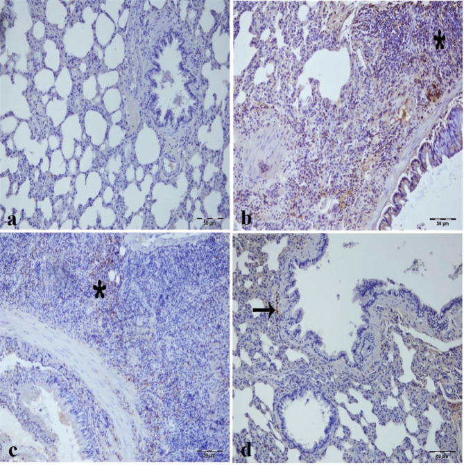 Fig. 11