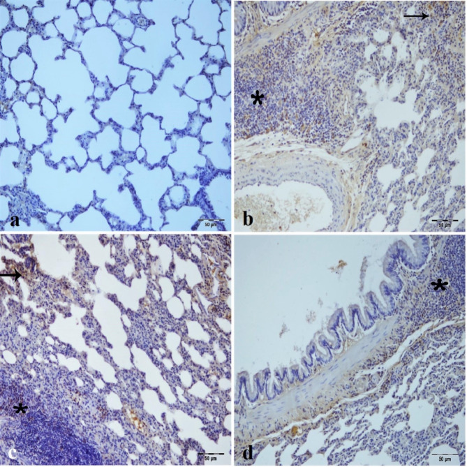 Fig. 10