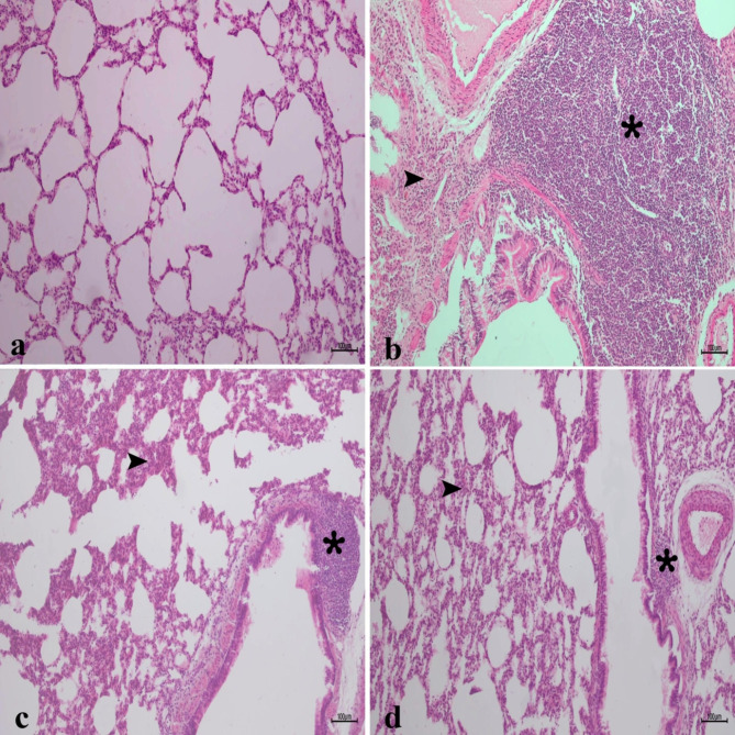 Fig. 13