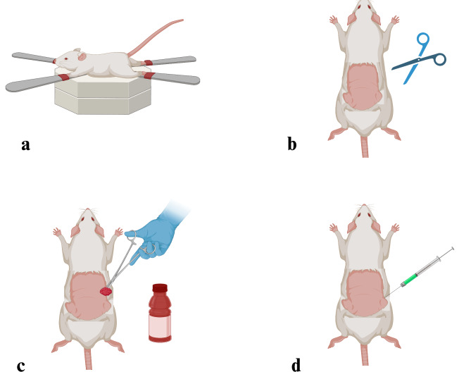 Fig. 2