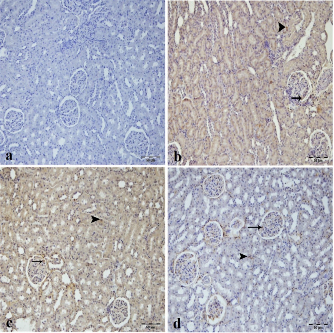 Fig. 8