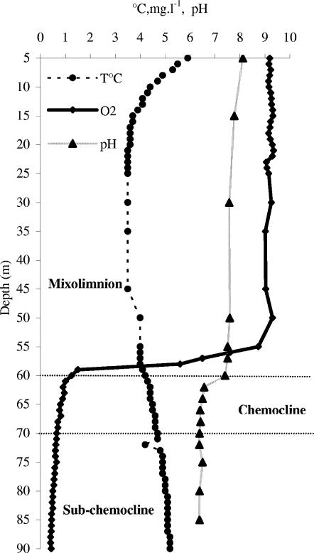 FIG. 1.