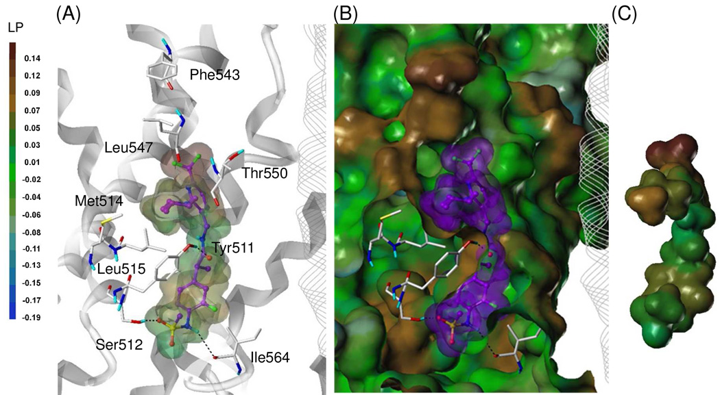 Figure 6