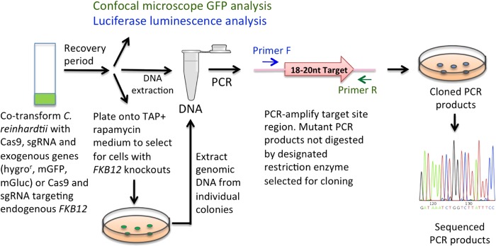 FIG 2