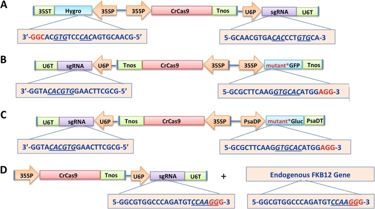 FIG 1