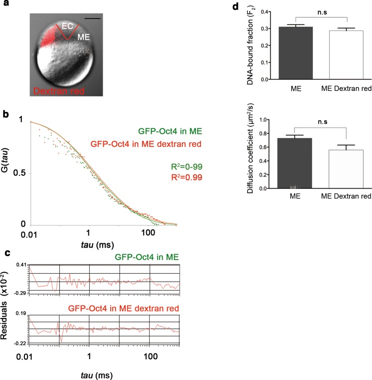 Figure 2—figure supplement 2.