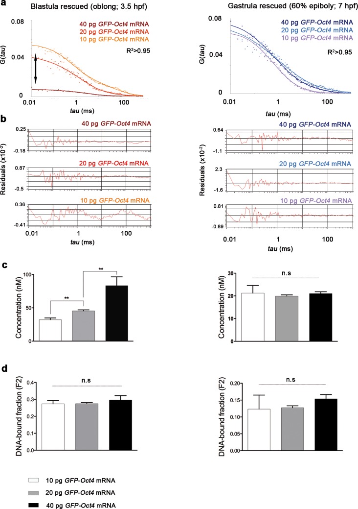 Figure 1—figure supplement 3.