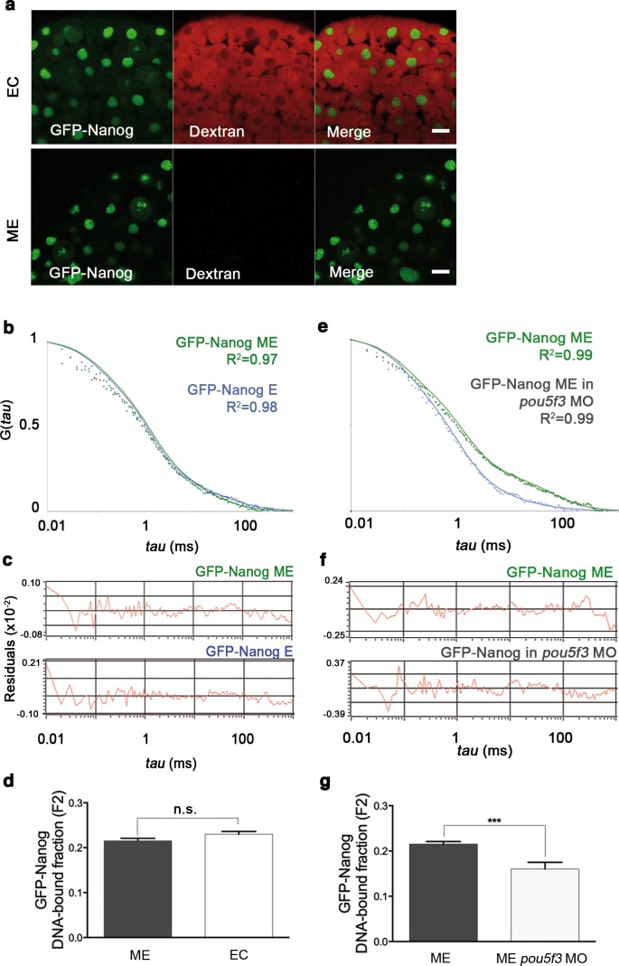 Figure 2—figure supplement 3.