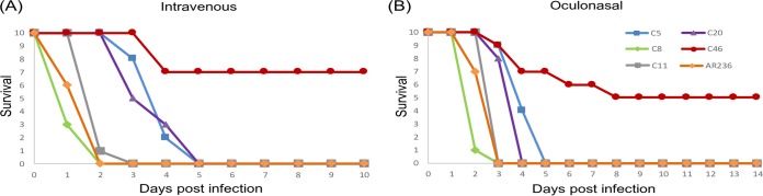 FIG 4