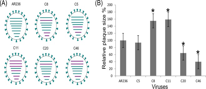 FIG 2