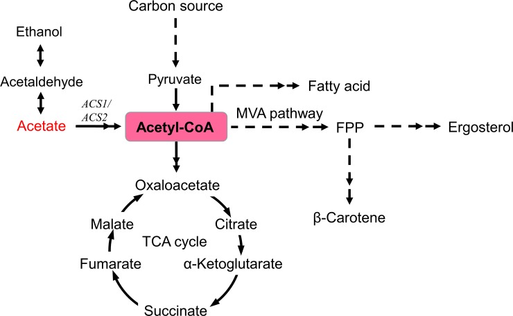 Fig 10