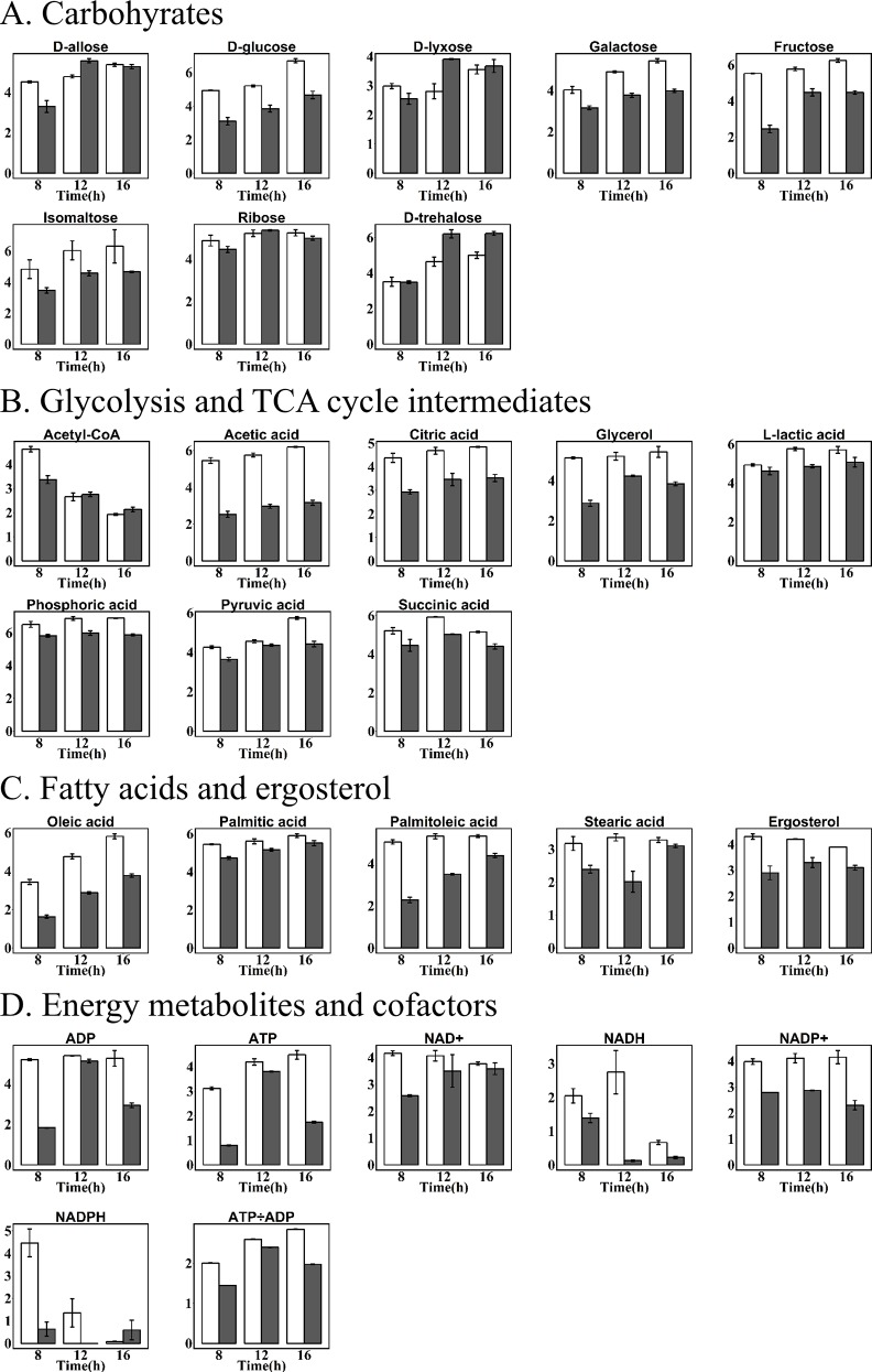 Fig 4