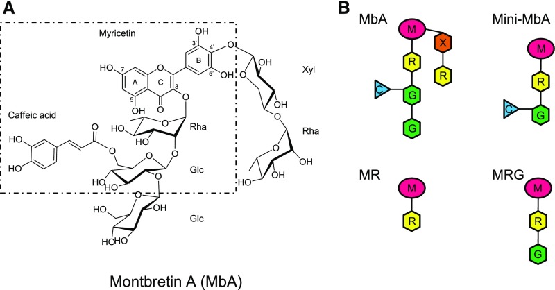 Figure 1.