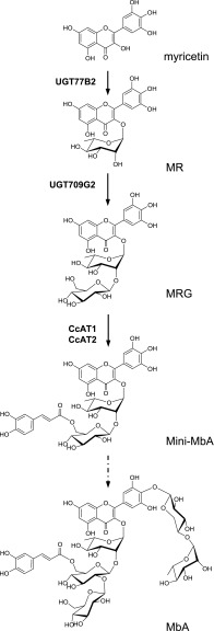 Figure 9.