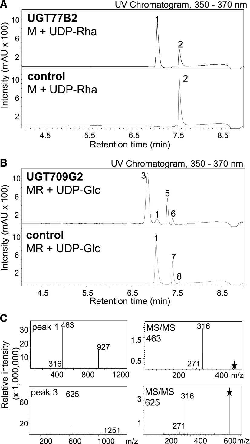 Figure 5.