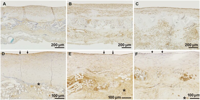 Figure 4: