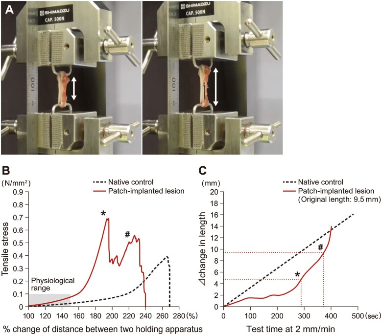 Figure 7: