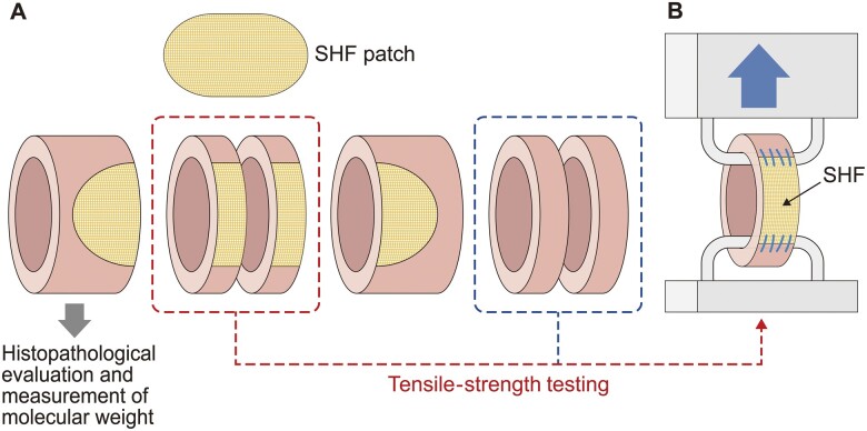 Figure 1: