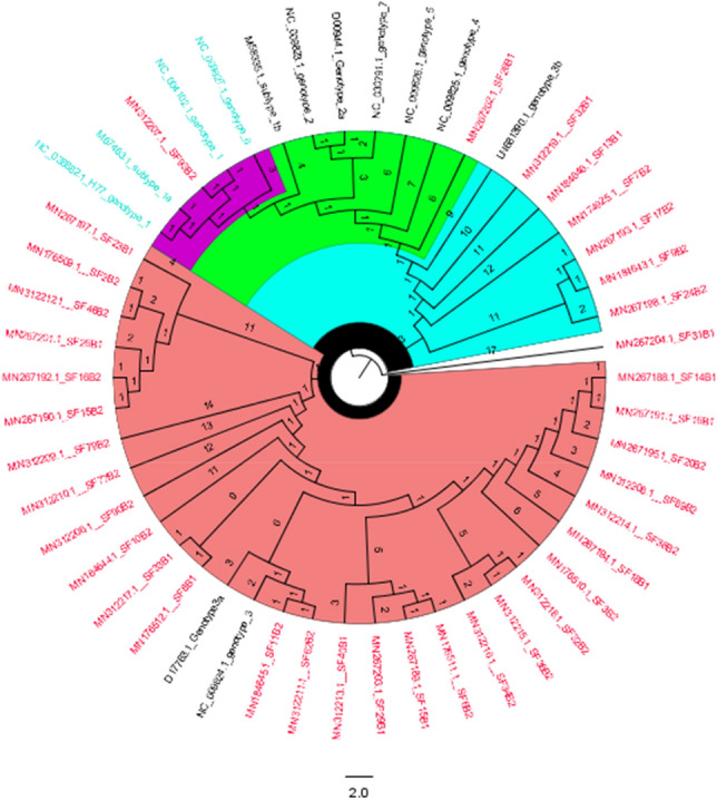 Figure 4