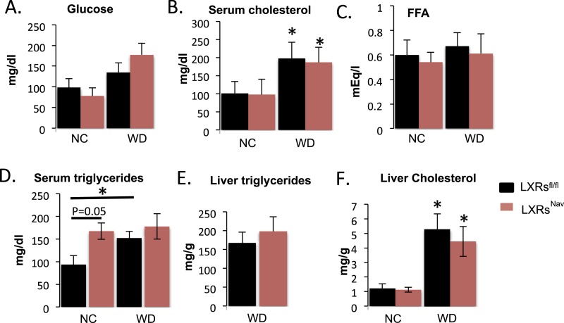 Figure 2—figure supplement 1.