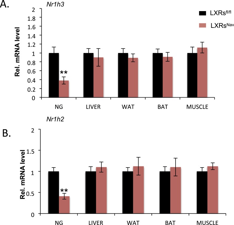 Figure 1—figure supplement 1.