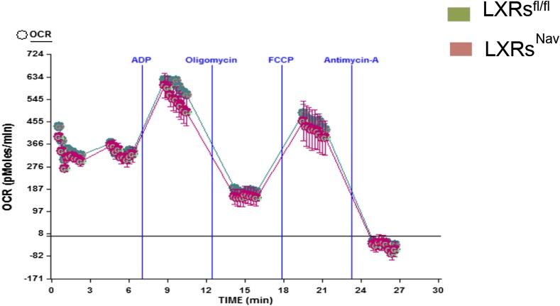 Figure 3—figure supplement 1.