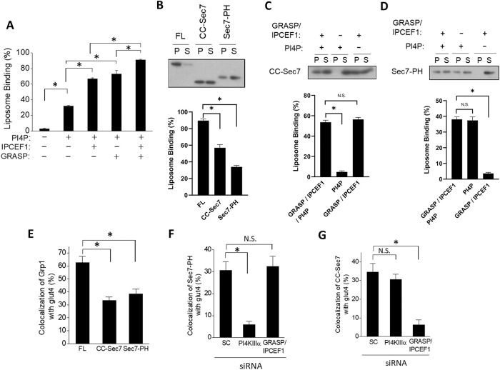 FIGURE 4: