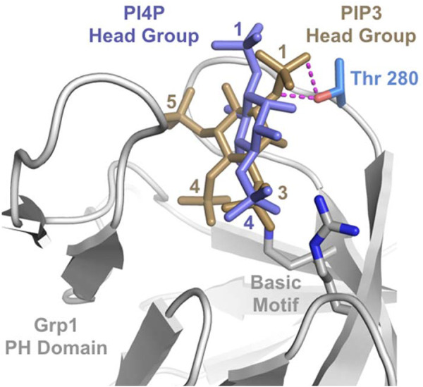 FIGURE 6: