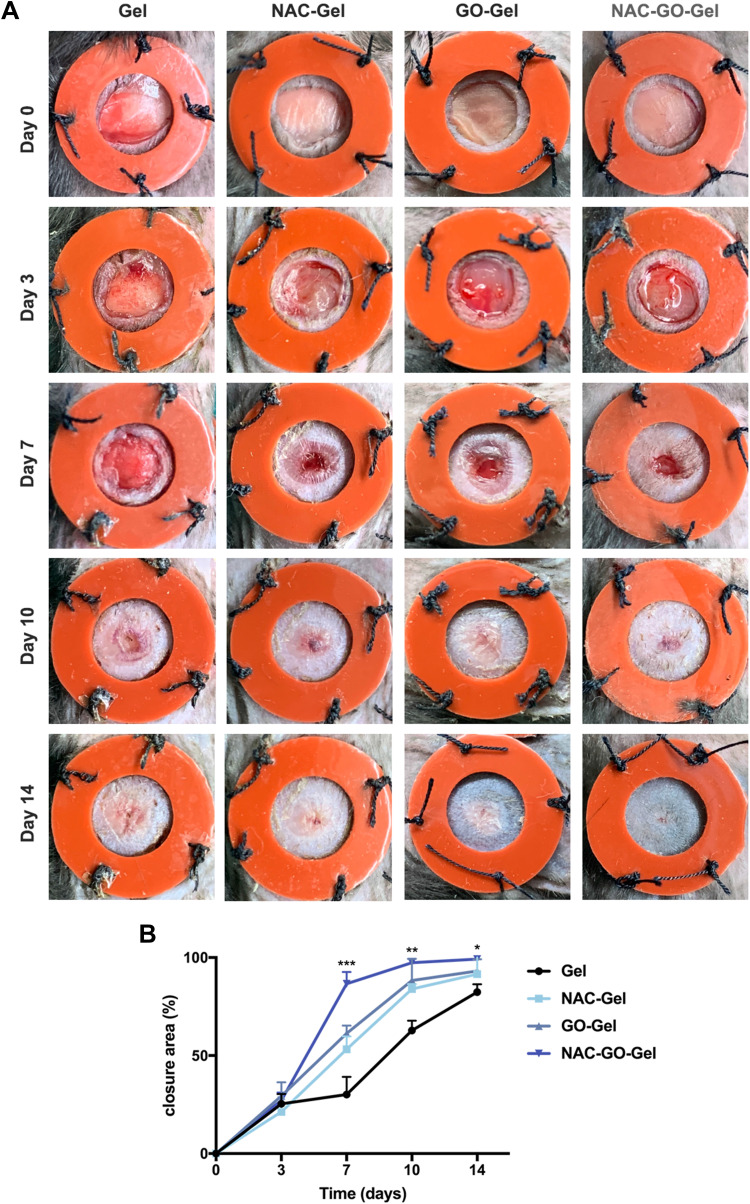 Figure 5