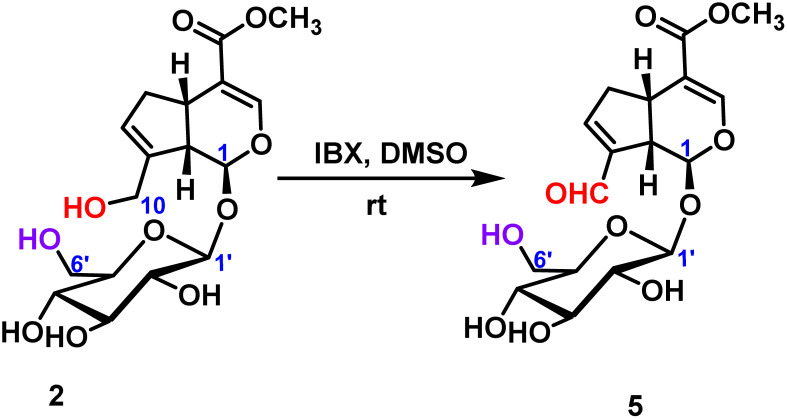 Scheme 2
