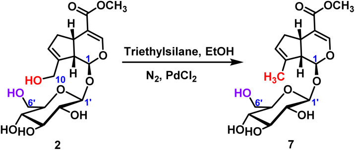 Scheme 4