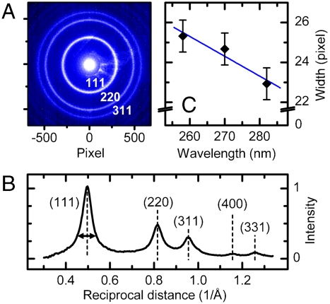 Fig. 8.