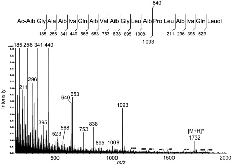 Fig. 2. FAB mass spectrum and proposed fragmentation of trichorzin HA V (2).