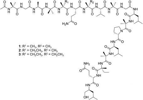 Fig. 1. Structures of trichorzins HA II (1), HA V (2), and HA VI (3).