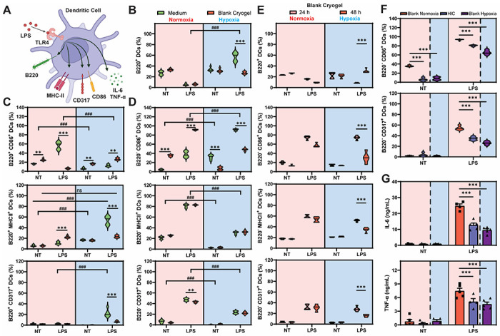 Figure 5: